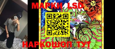гидра Заволжье