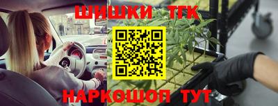 гидра Заволжье