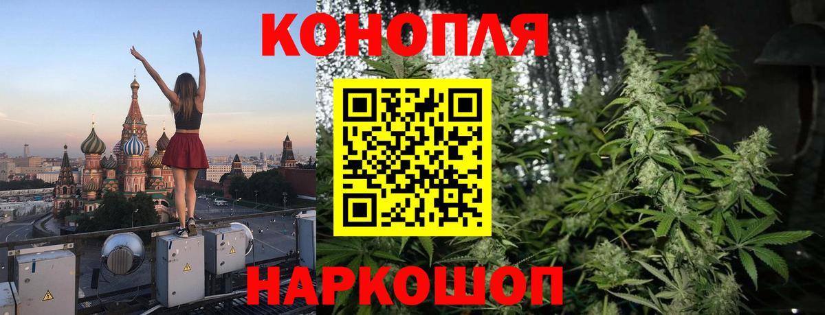 Бошки Шишки Ленинск-Кузнецкий
